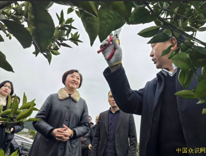 QQ截图20260319181201.png