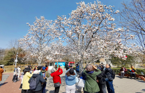 2018年11月2日到走进青海黄南州的青海湖 公益环保 拾垃圾活动，.JPG