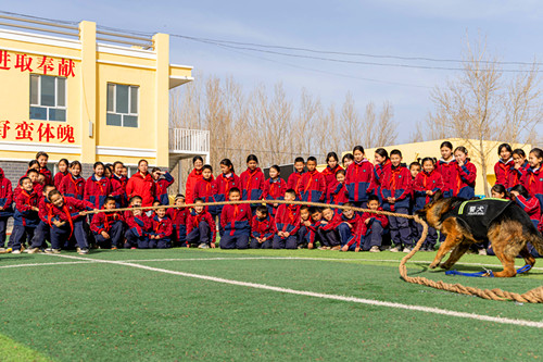 1774240518681044.jpg 图为警犬与学生拔河互动画面.jpg